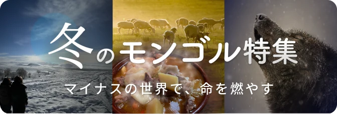 冬のモンゴル特集